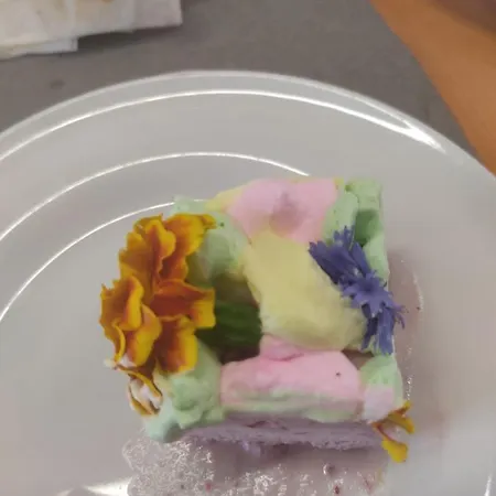 Fabbri's Отель Чезенатико